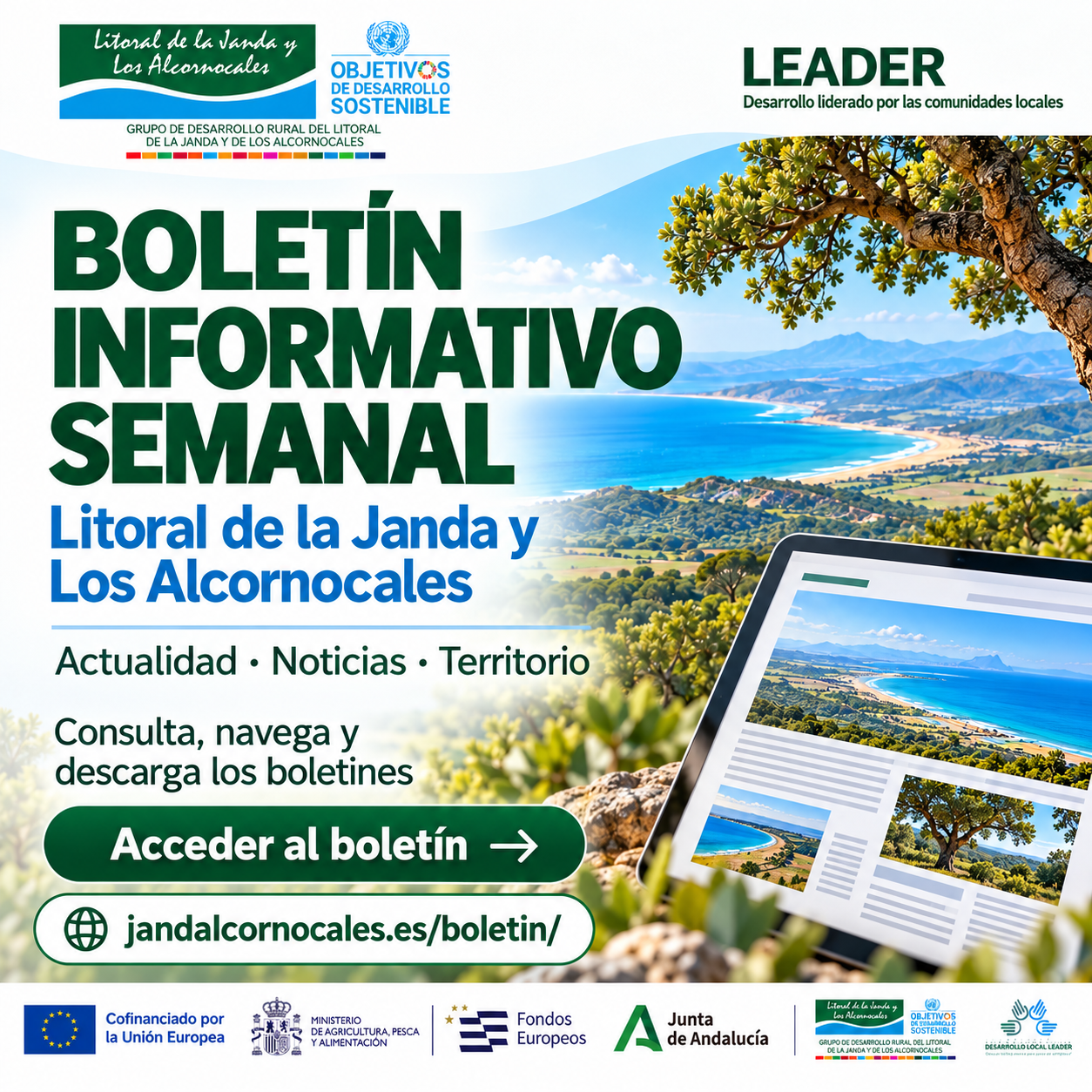 El GDR del Litoral de la Janda y de Los Alcornocales estrena una plataforma digital de boletines semanales para acercar la información y las oportunidades de desarrollo a la ciudadanía