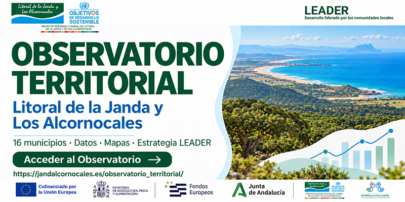 Observatorio Territorail
